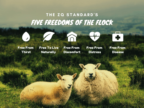 ZQ Merino Five Freedoms of the Flock